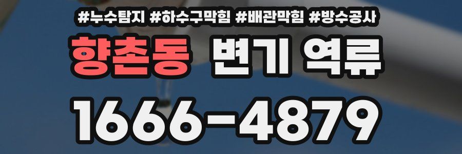 향촌동 변기 역류