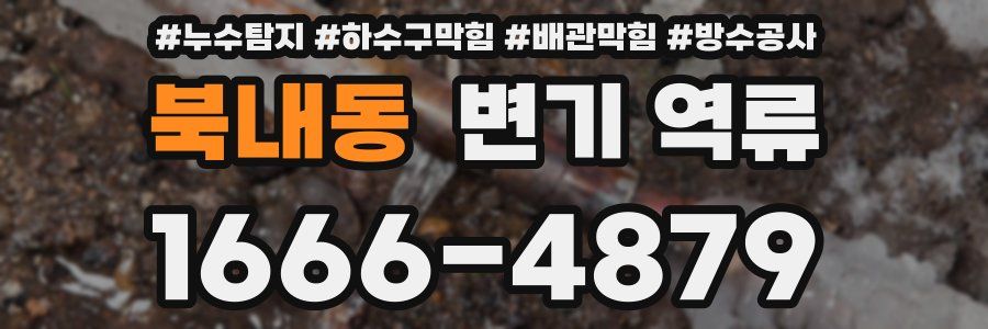 북내동 변기 역류