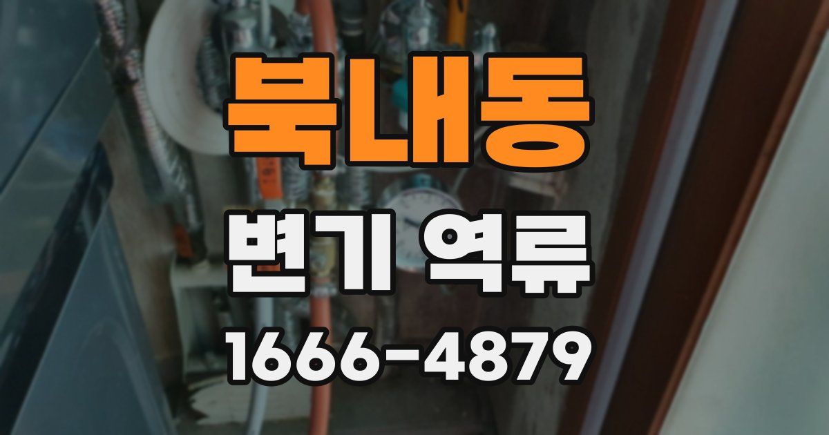 북내동 변기 역류