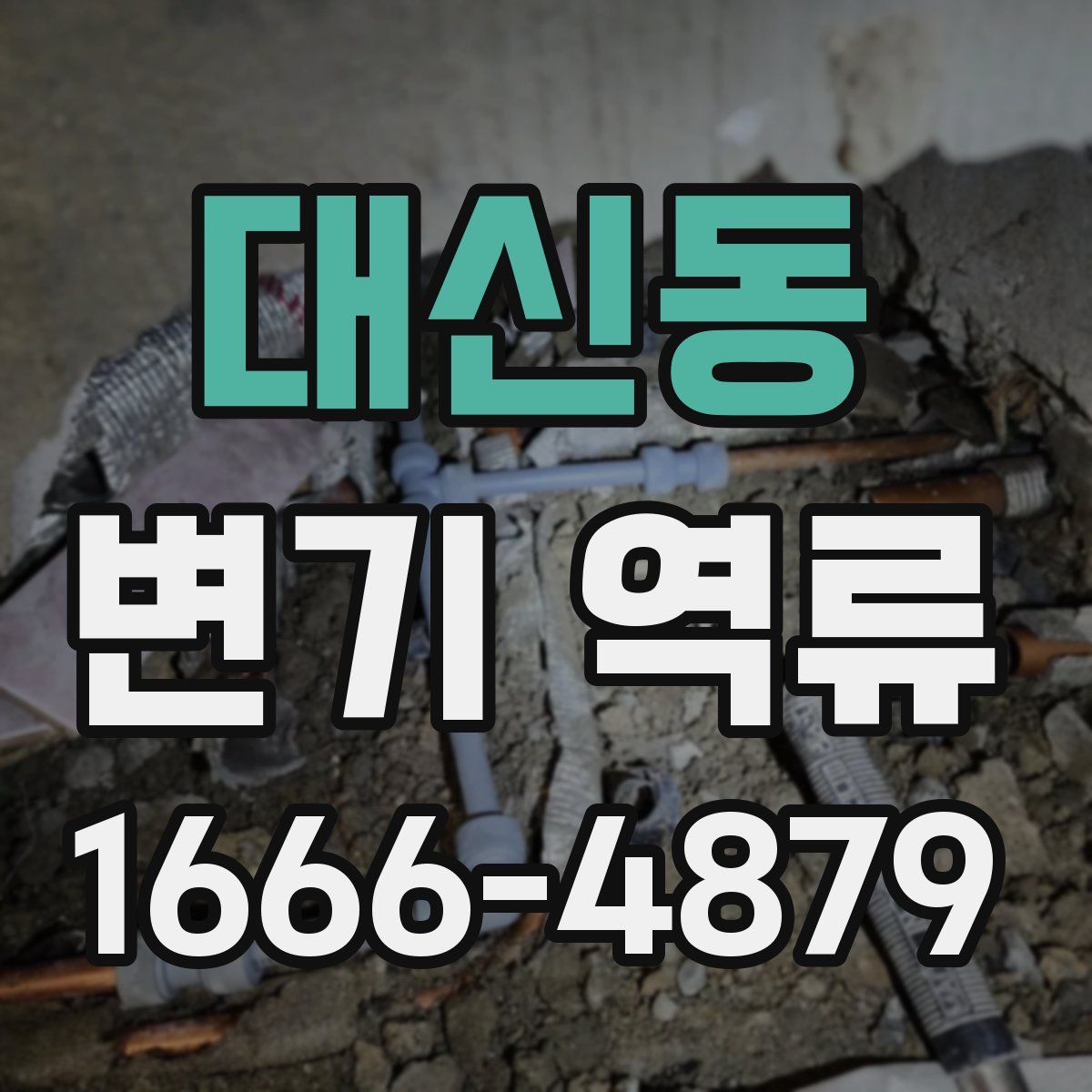 대신동 변기 역류