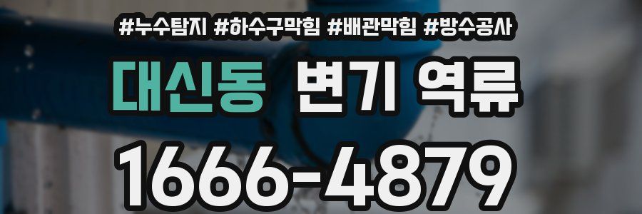 대신동 변기 역류