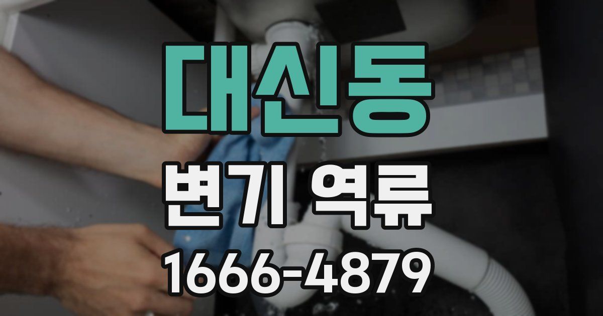 대신동 변기 역류