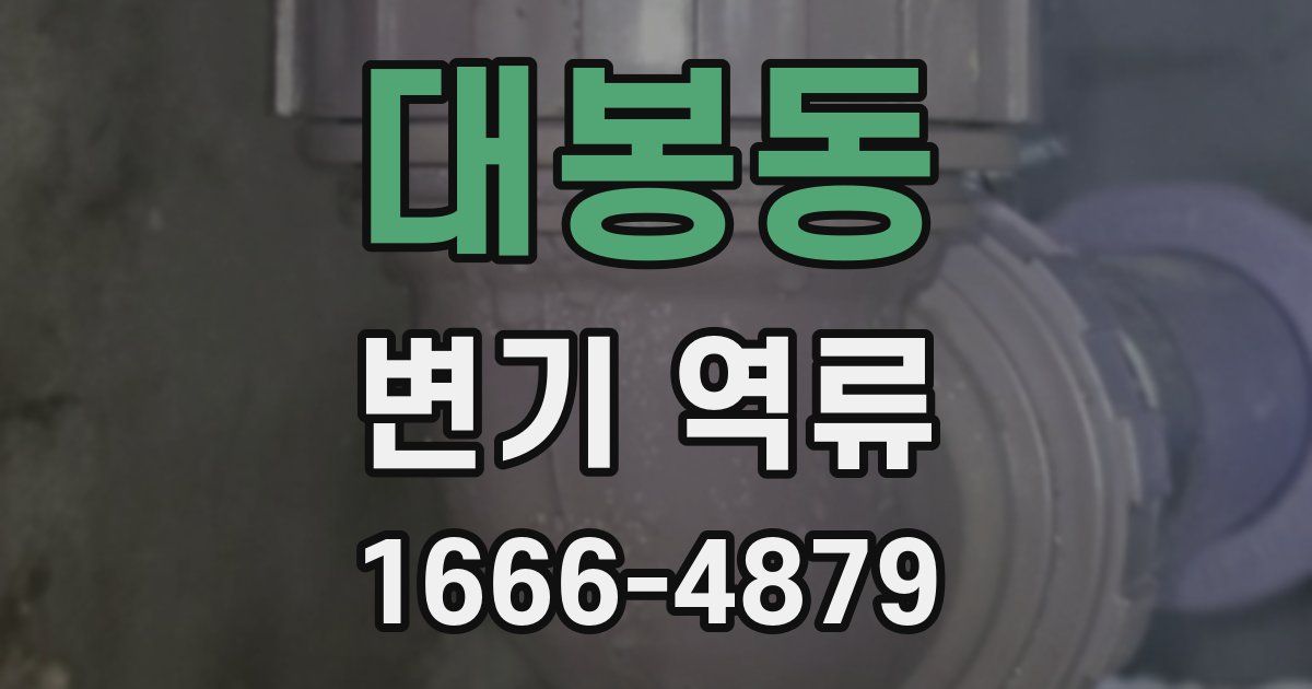 대봉동 변기 역류