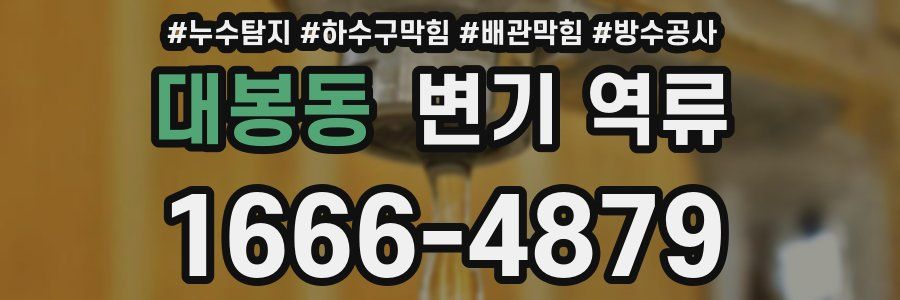 대봉동 변기 역류