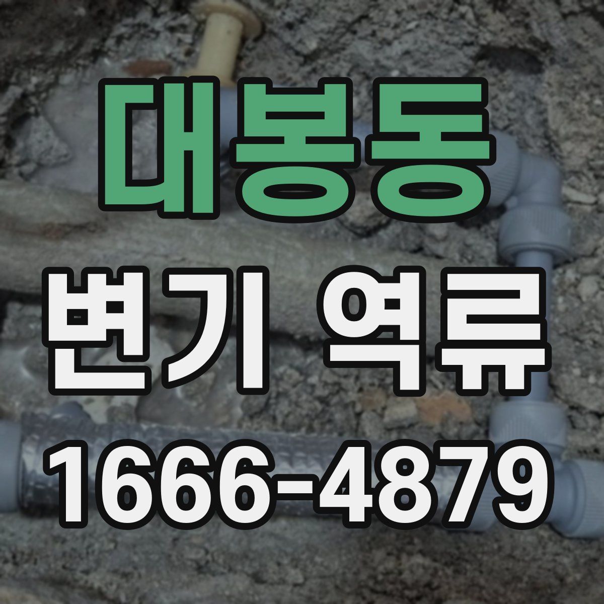 대봉동 변기 역류
