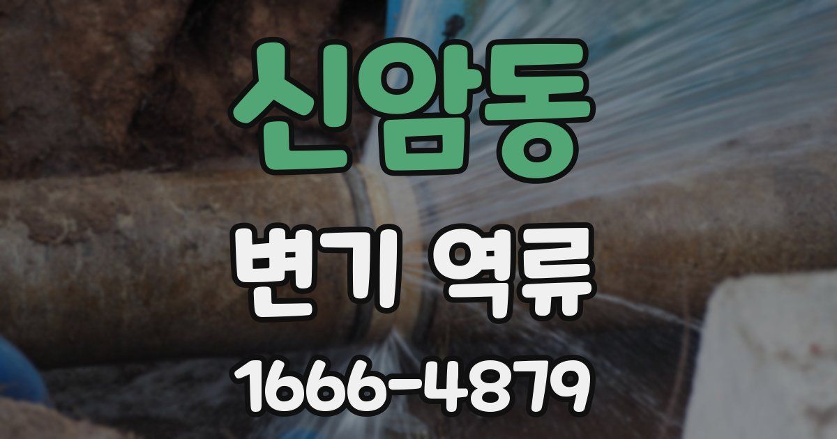 신암동 변기 역류
