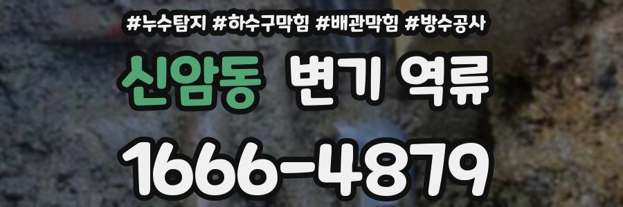 신암동 변기 역류