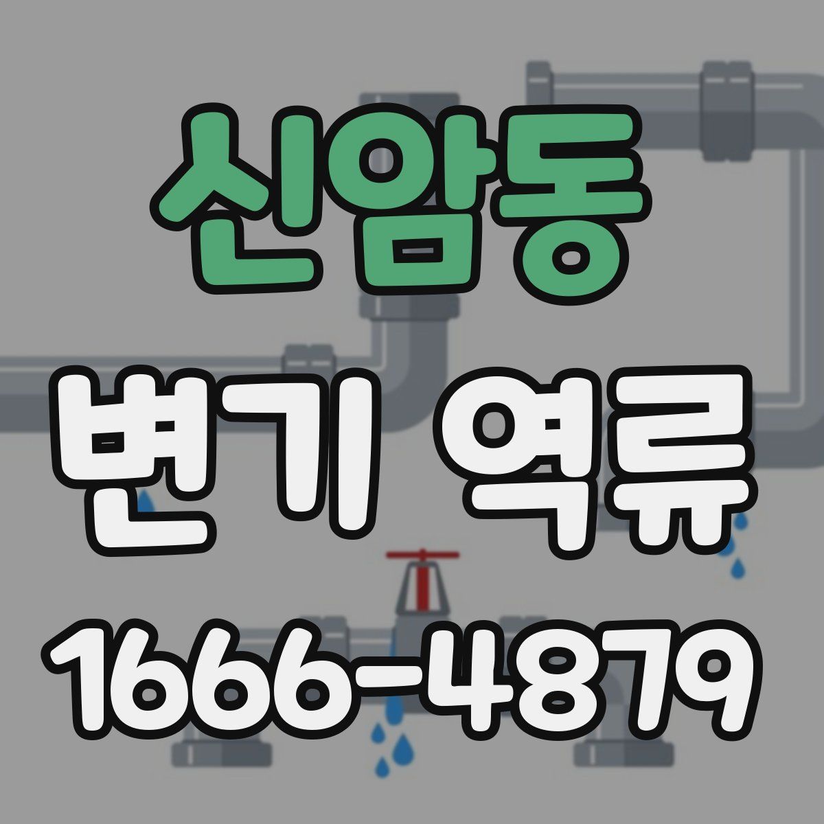 신암동 변기 역류