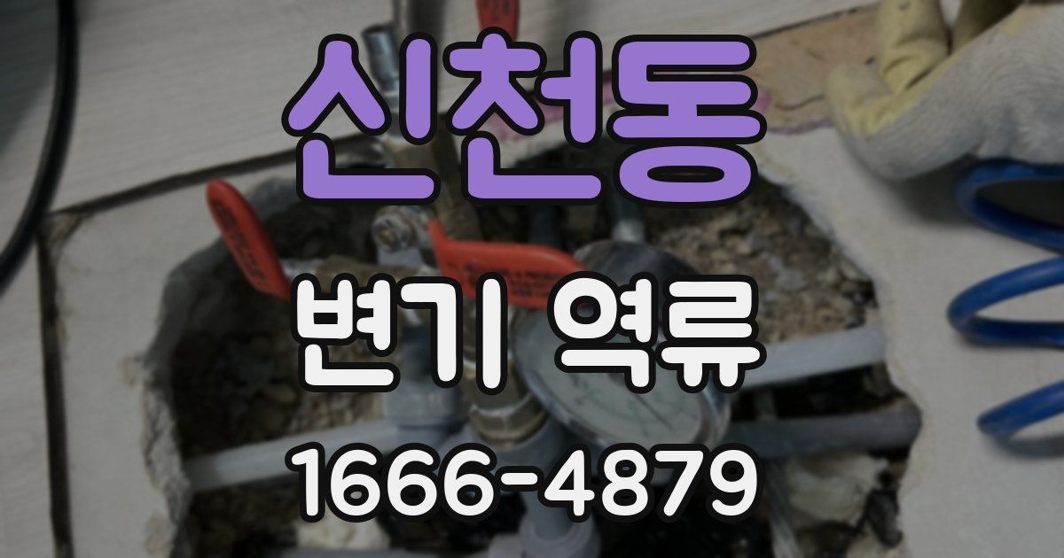 신천동 변기 역류