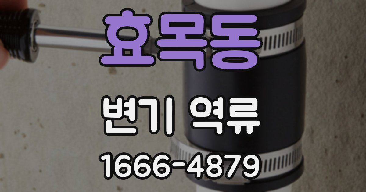 효목동 변기 역류