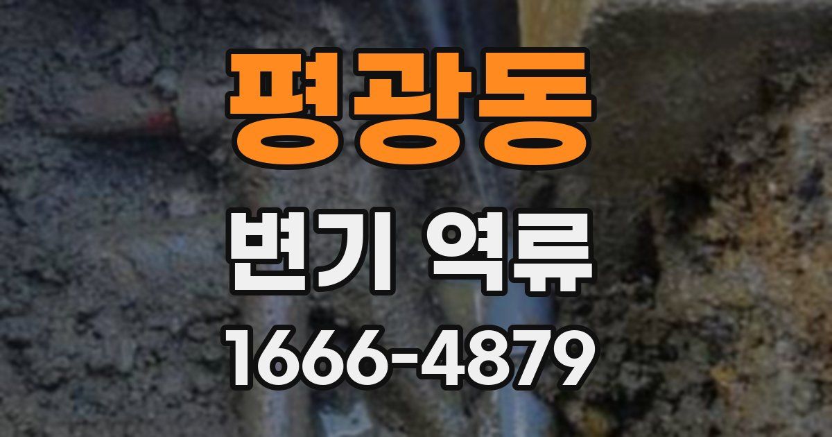 평광동 변기 역류