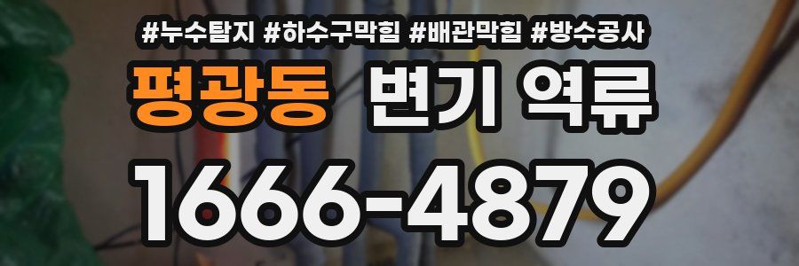 평광동 변기 역류