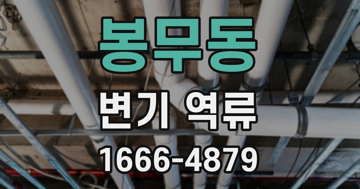 봉무동 변기 역류