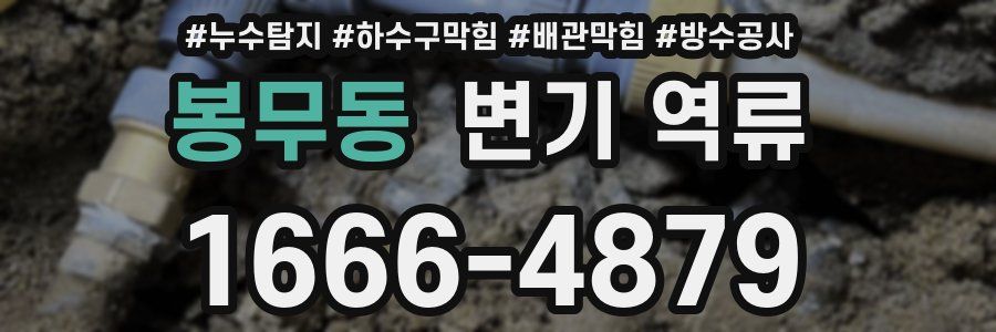 봉무동 변기 역류