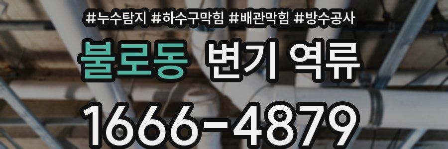 불로동 변기 역류