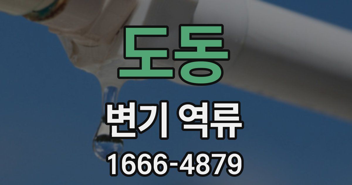 도동 변기 역류