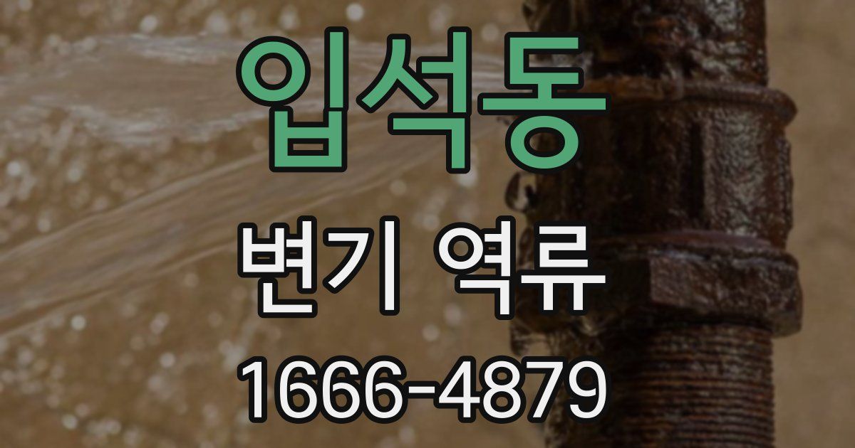 입석동 변기 역류