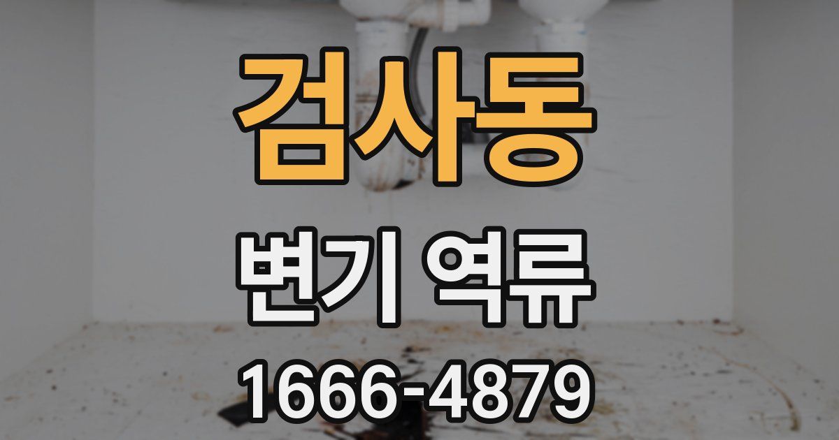 검사동 변기 역류
