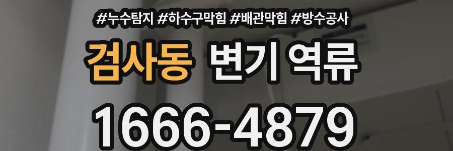 검사동 변기 역류