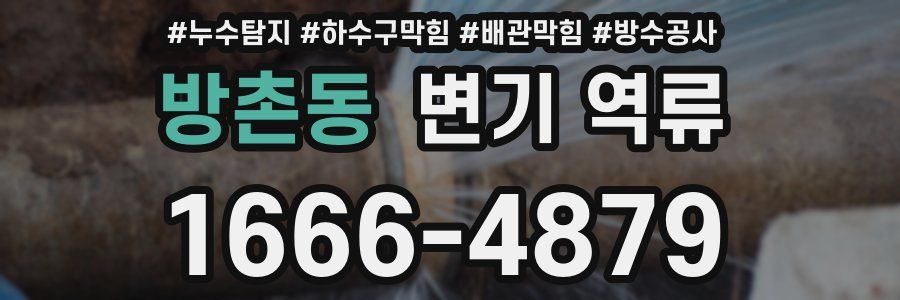 방촌동 변기 역류