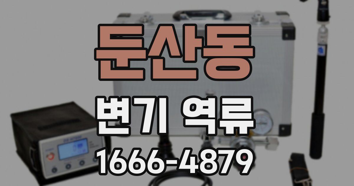 둔산동 변기 역류