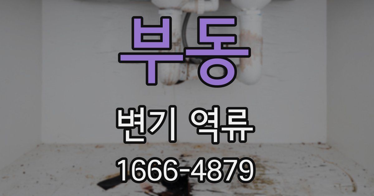 부동 변기 역류