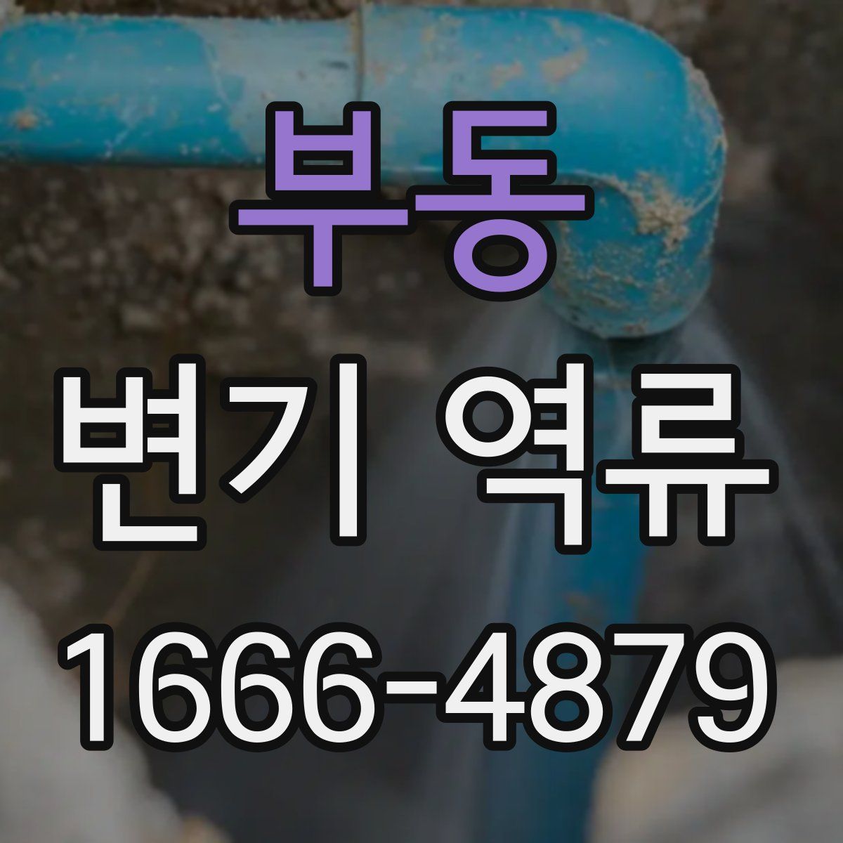 부동 변기 역류