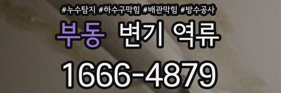 부동 변기 역류