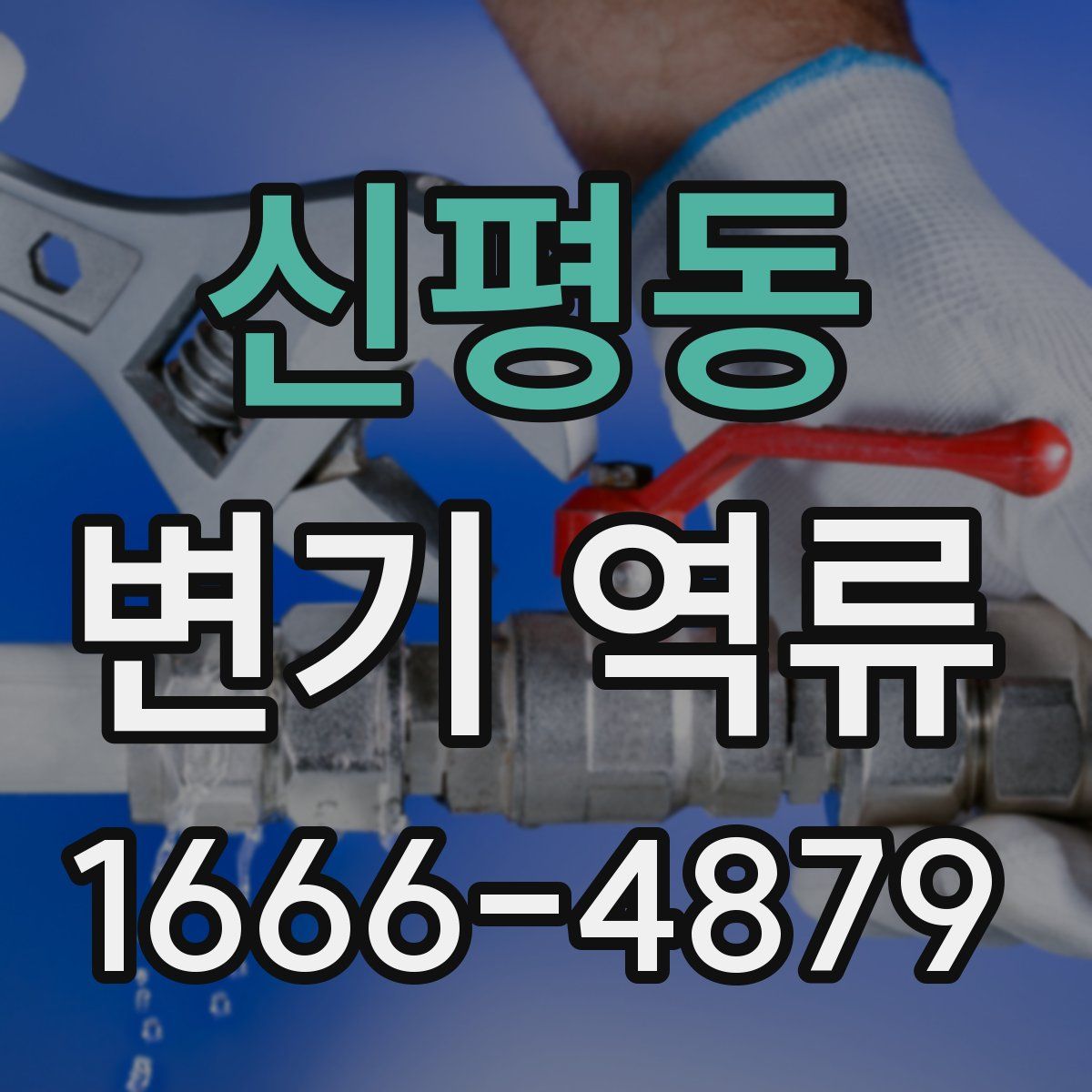 신평동 변기 역류