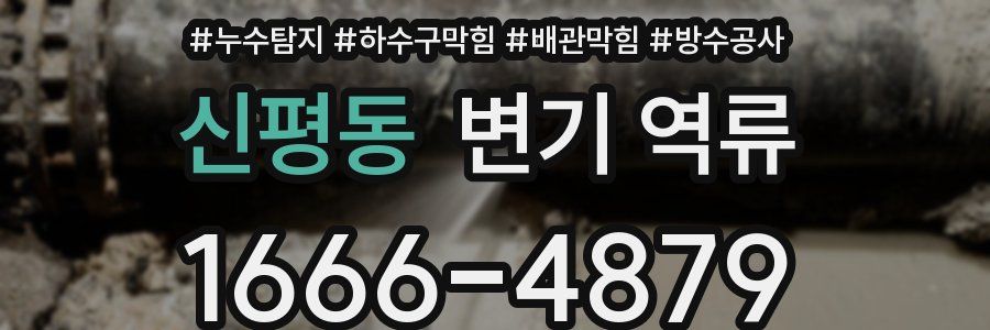 신평동 변기 역류