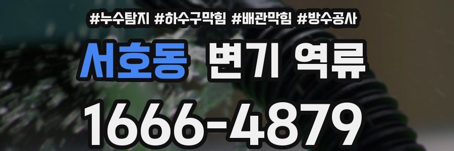 서호동 변기 역류