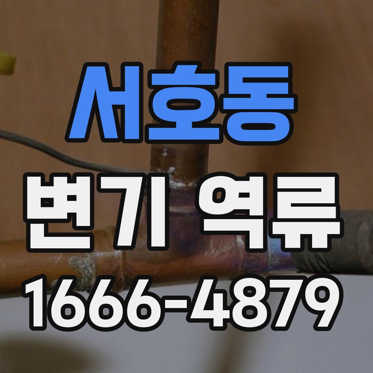 서호동 변기 역류