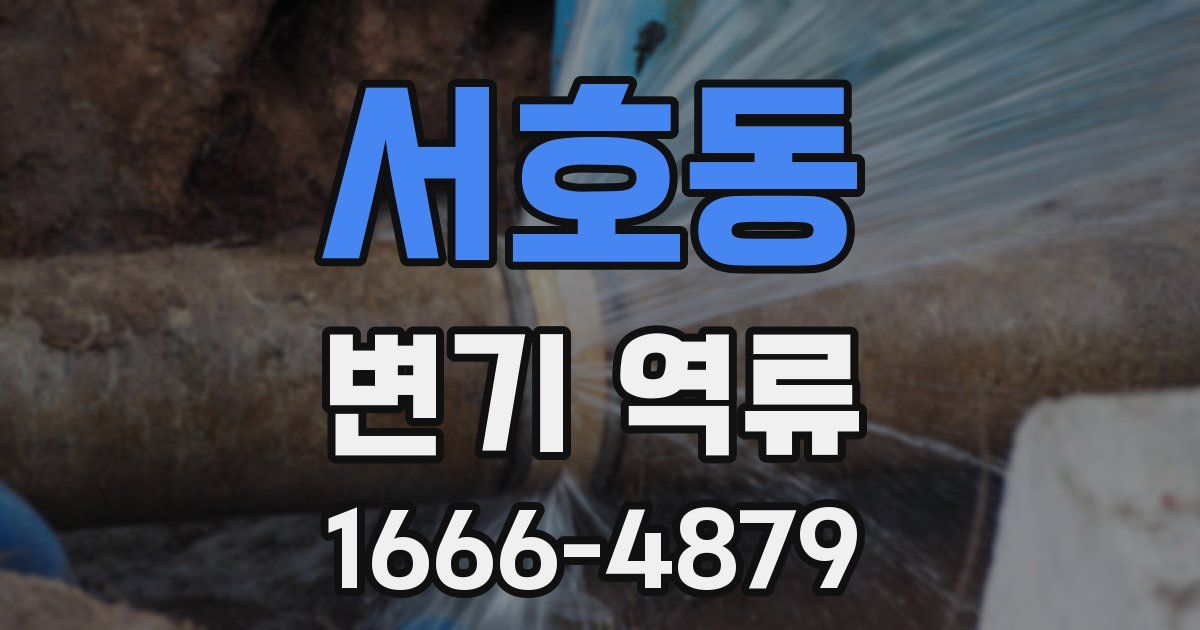 서호동 변기 역류