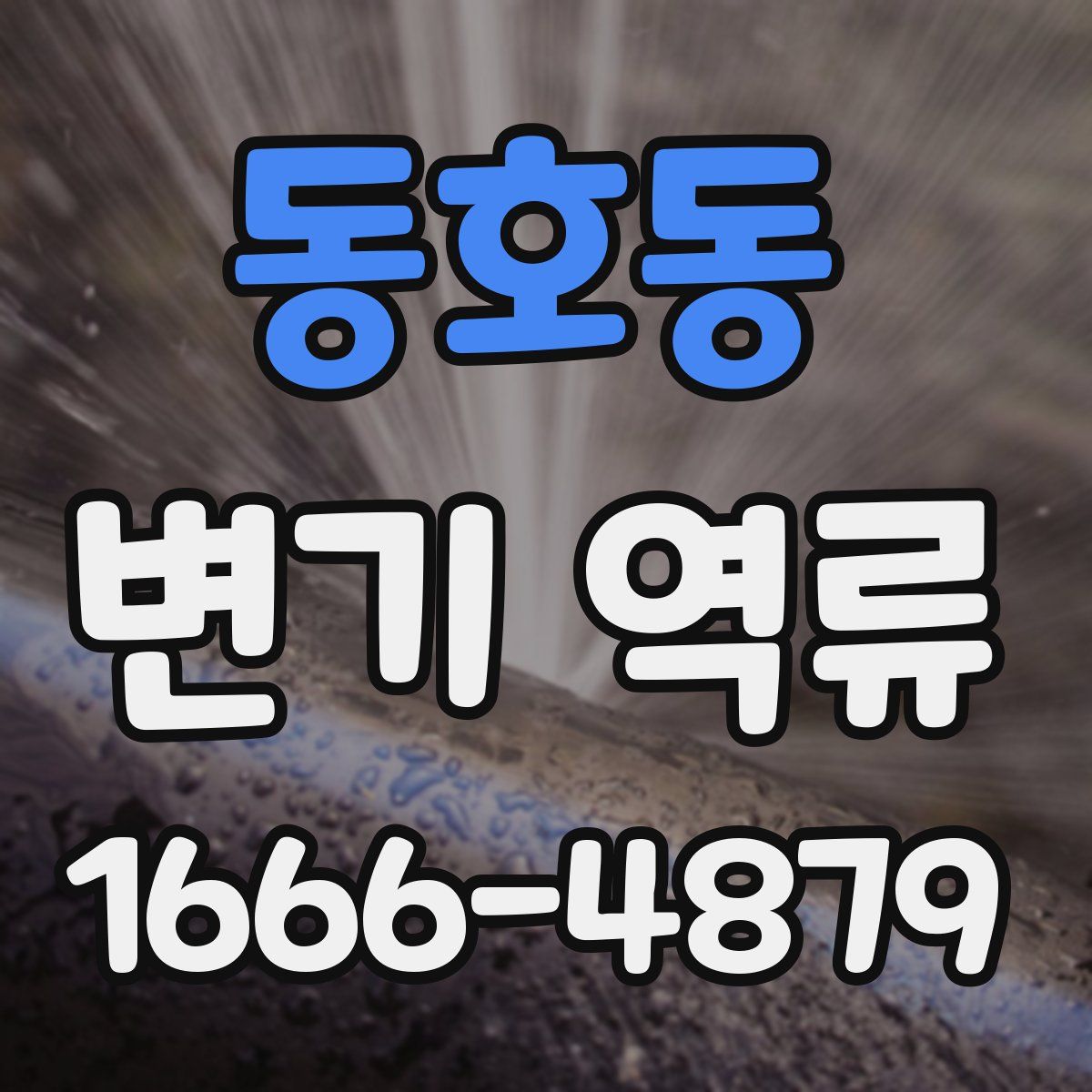 동호동 변기 역류
