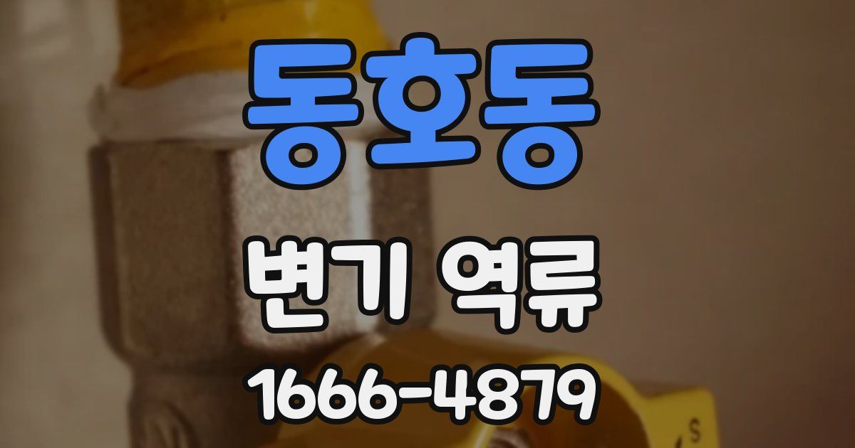동호동 변기 역류