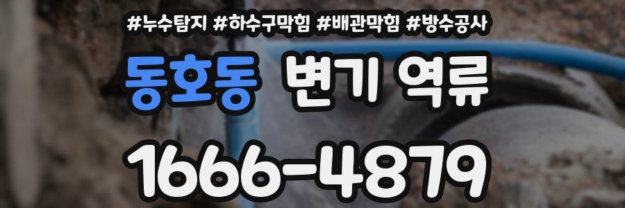 동호동 변기 역류