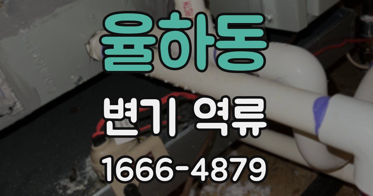 율하동 변기 역류