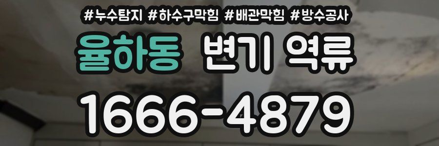 율하동 변기 역류