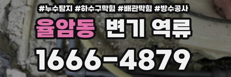 율암동 변기 역류