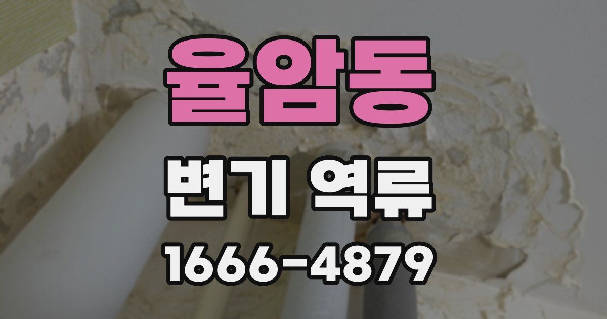 율암동 변기 역류