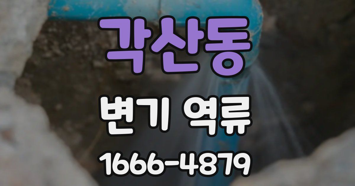각산동 변기 역류