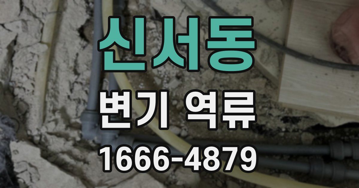 신서동 변기 역류