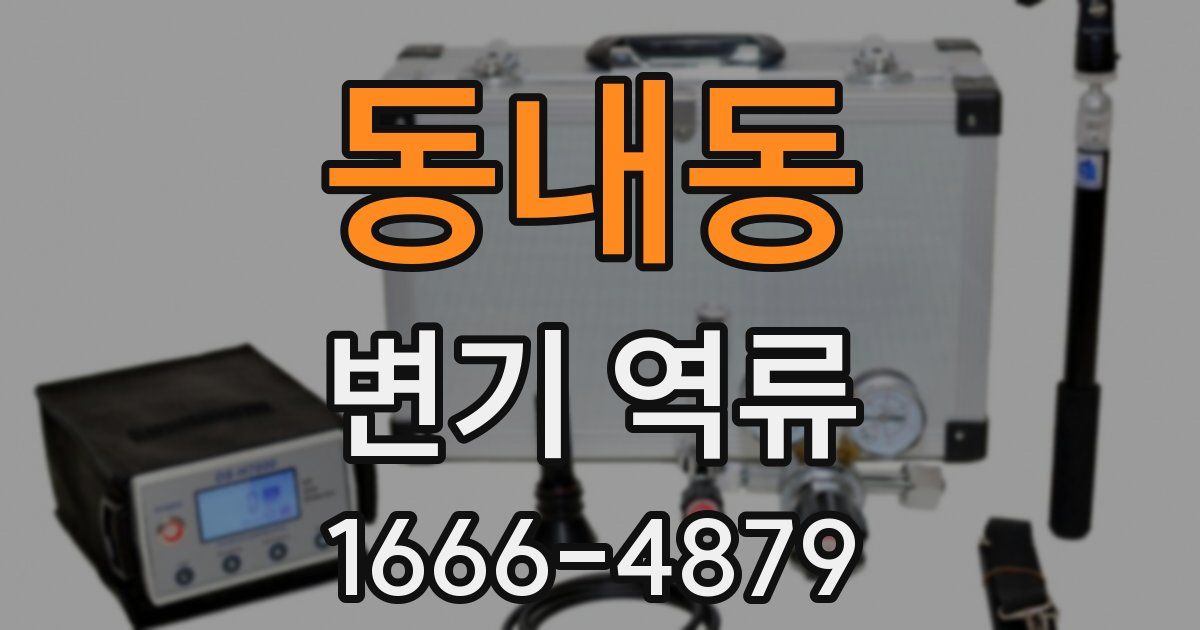 동내동 변기 역류