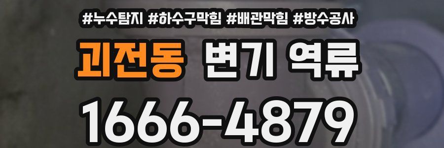 괴전동 변기 역류