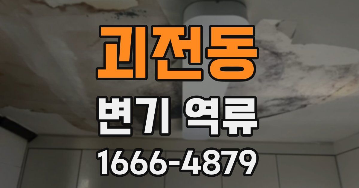괴전동 변기 역류