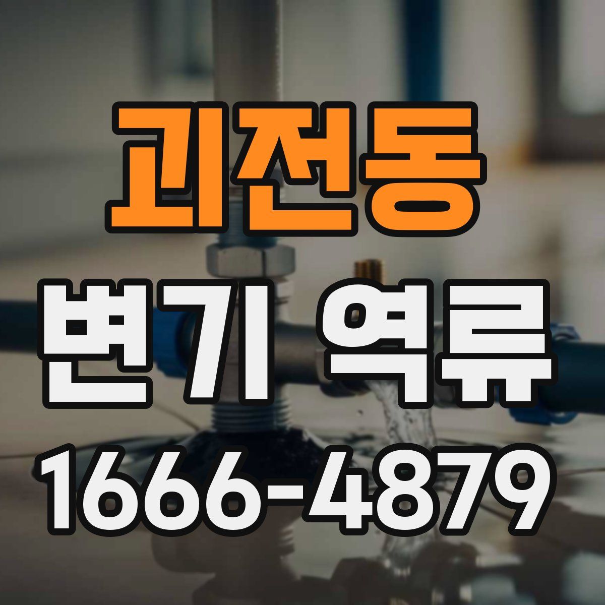 괴전동 변기 역류