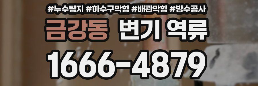 금강동 변기 역류