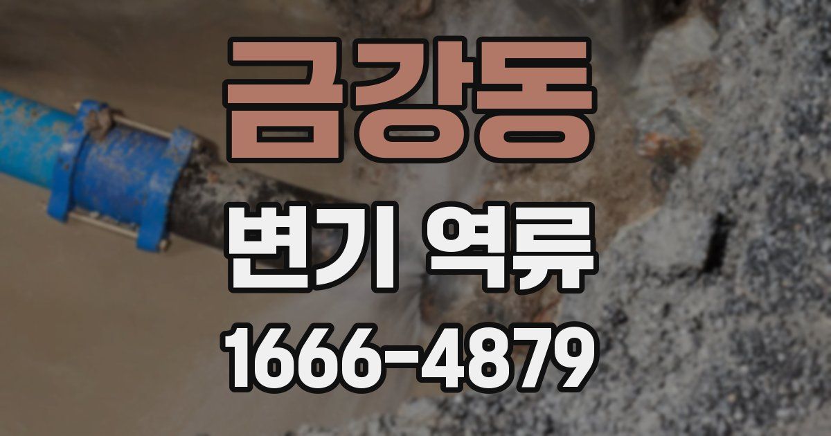 금강동 변기 역류