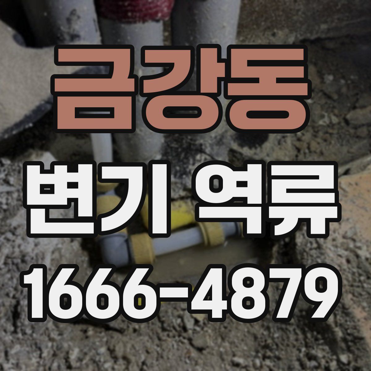 금강동 변기 역류