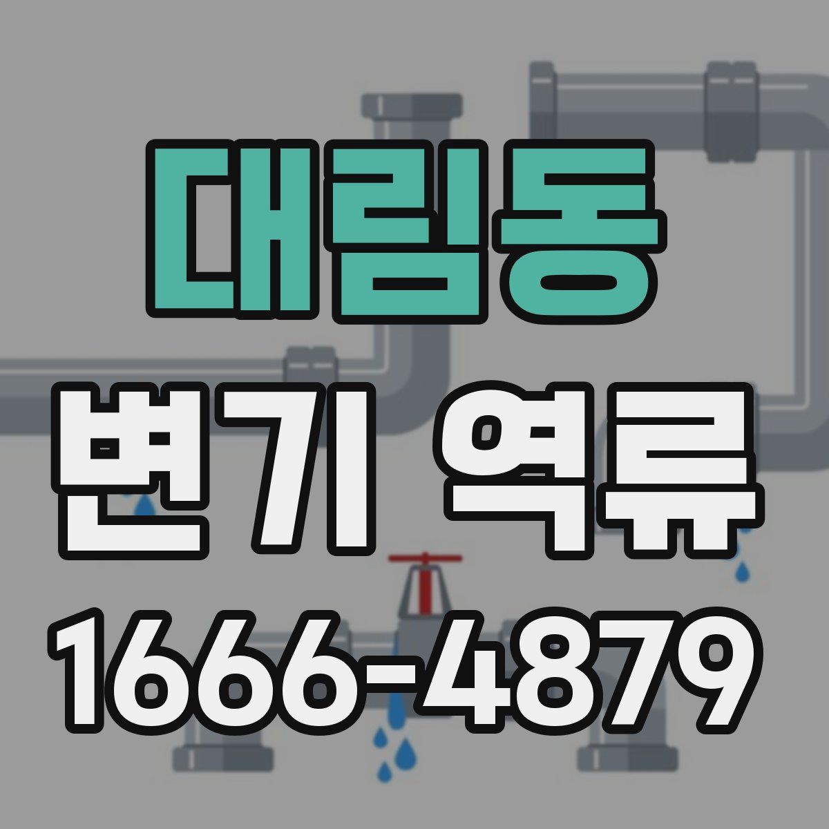 대림동 변기 역류